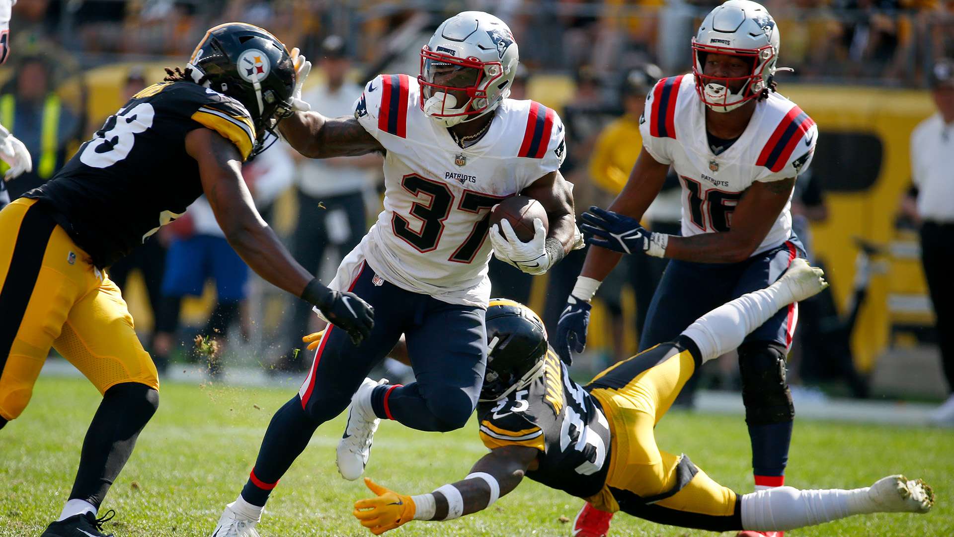 递了一个信 递了一个信